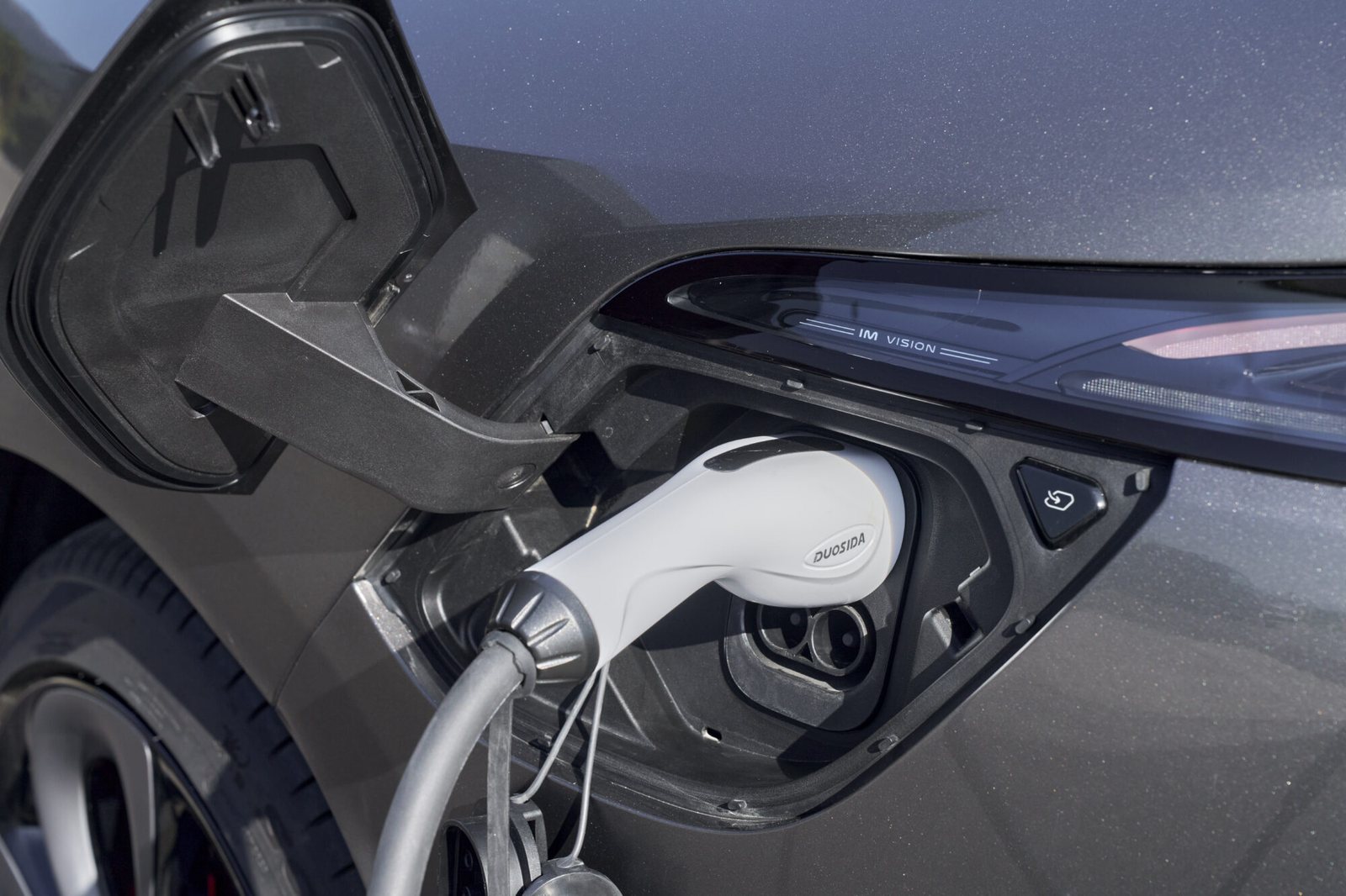 MG IM6 Detail